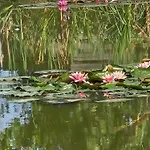 Bed & Breakfast Coin Zen 3*
