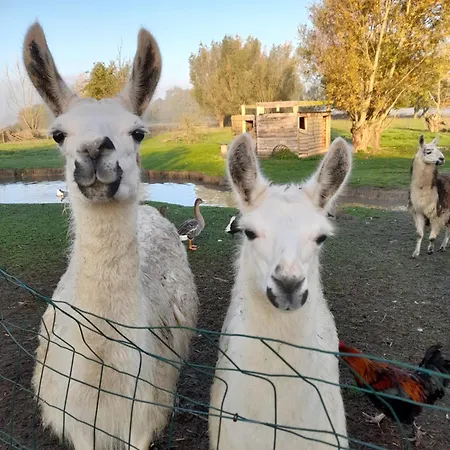 Bed & Breakfast Coin Zen