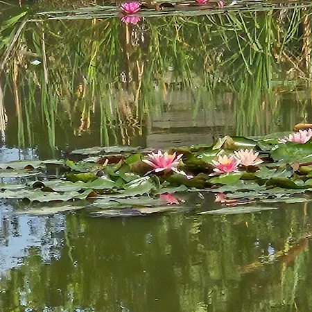 Bed & Breakfast Coin Zen 3*