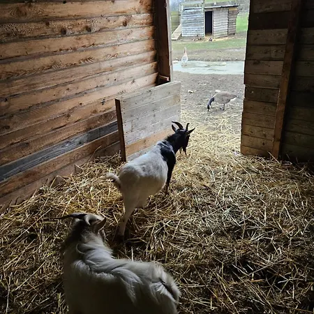 Coin Zen Bed & Breakfast Fromelles