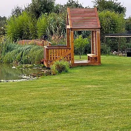 Coin Zen
